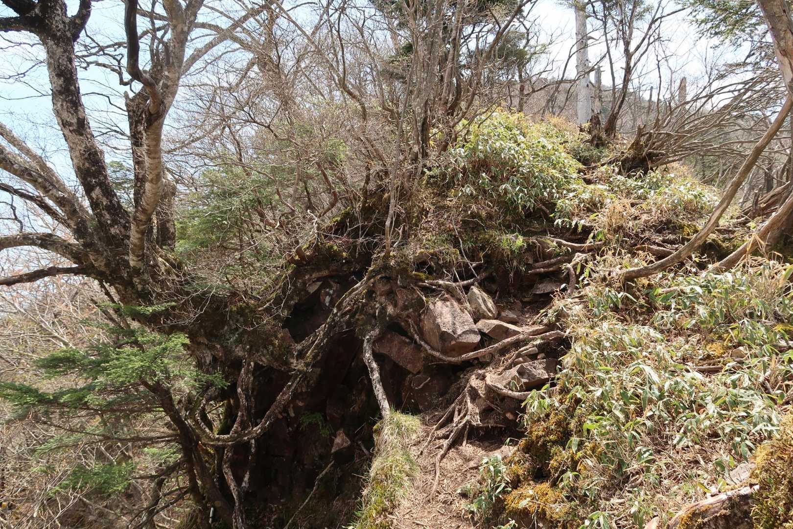 藤原登山口-鶏頂山-釈迦ヶ岳 往復コースの写真