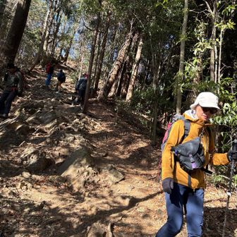 お腹空すいたと急ぐ女子😁