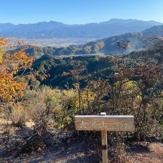来た〜　ピーク❣️