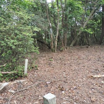 喜撰山山頂。