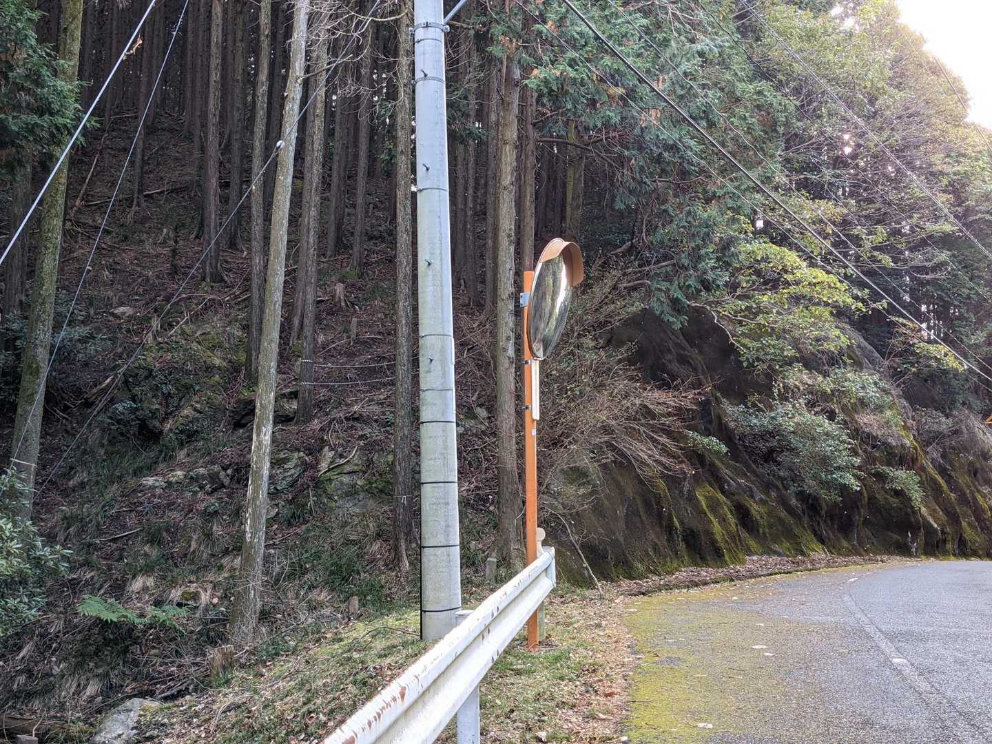 このカーブミラーが登山口の目印👀