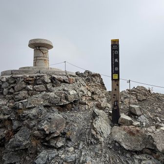 そして白馬岳山頂⛰️到着