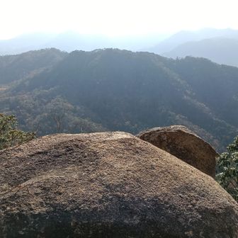 山頂付近登るのになんぎしました