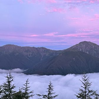 雲海が綺麗でした