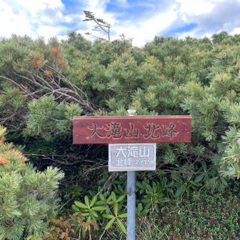 大滝山北峰
到着〜！
