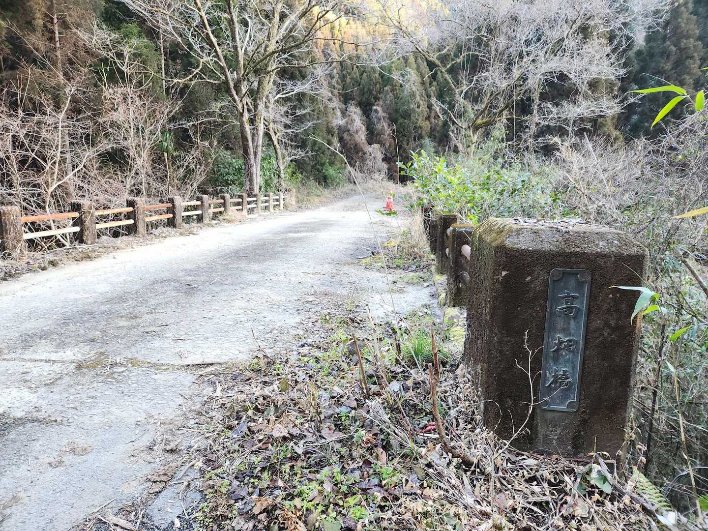 しばらくは林道歩き🚶‍♀️🚶‍♀️