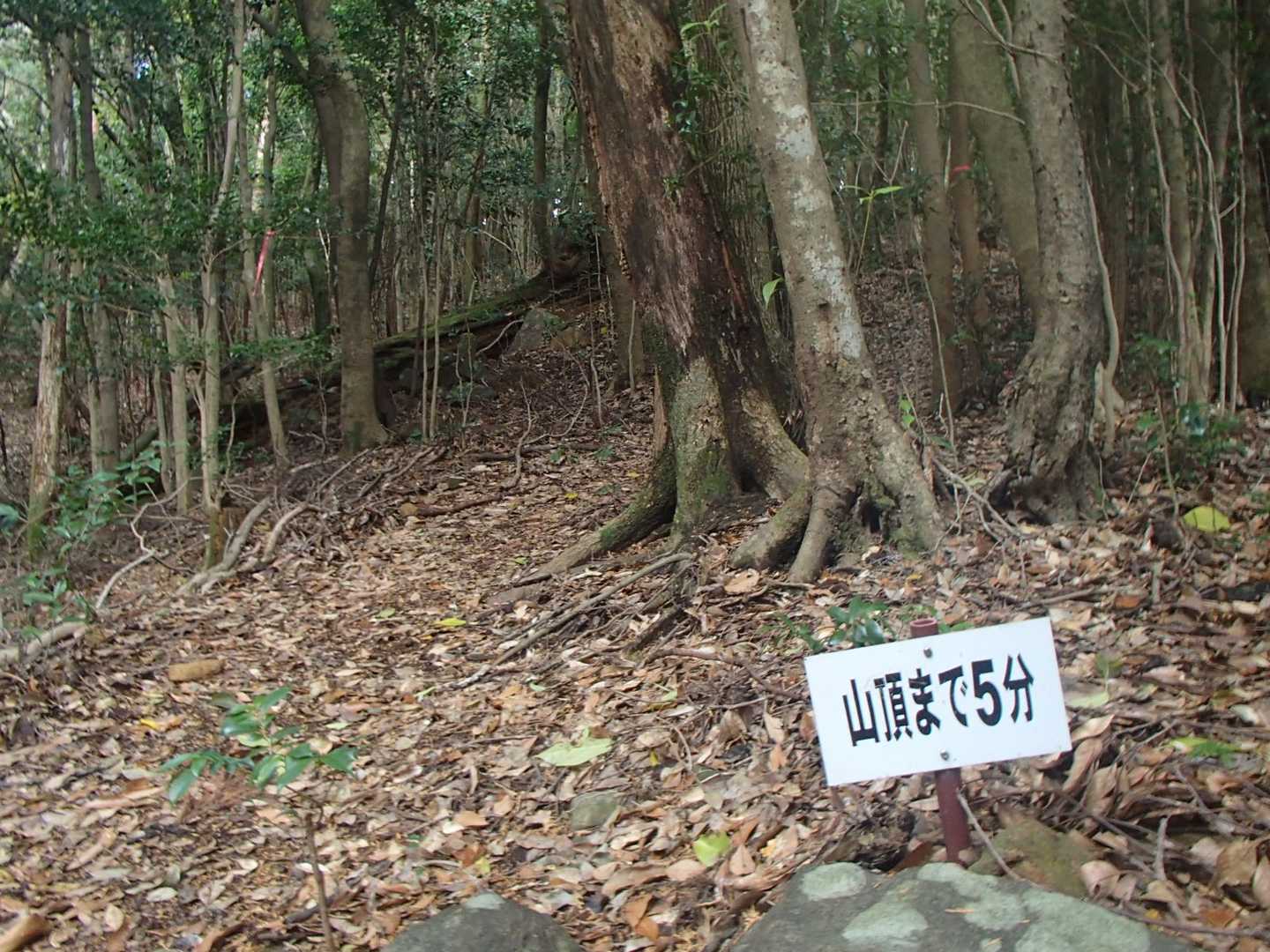ここから2分でした😝