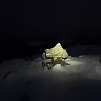 この後私は行方不明になりました🐶👋