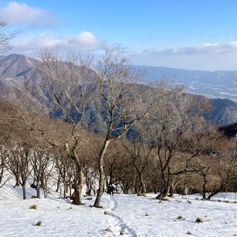 この辺りが本日のハイライト