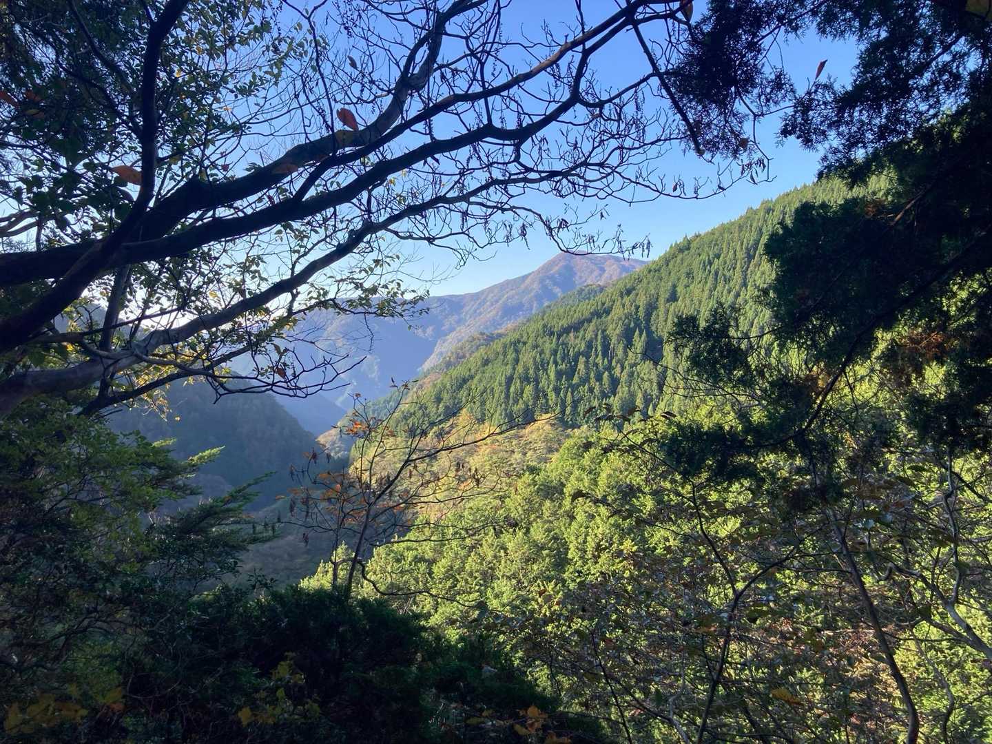 快晴