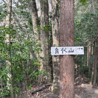 最後のお山⛰️いくよ山⛰️
くるよ山はないんかぃ😛