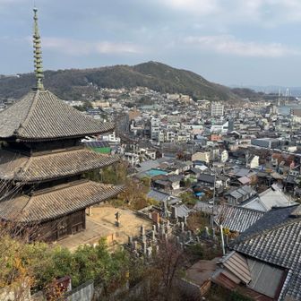 天寧寺三重塔と浄土寺山⛰️✨