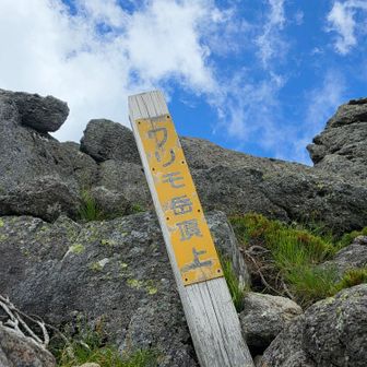 山頂には行けず、
トラバース途中に山頂標識…。