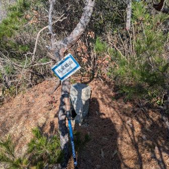 ４座目社家郷山ゲット👍眺望ナシ