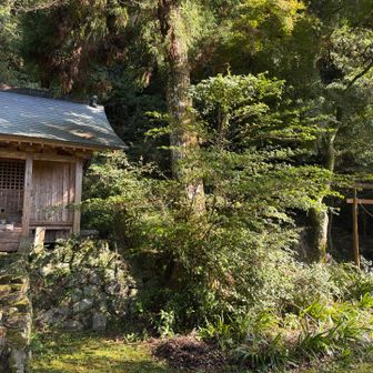 右奥は白山神社の鳥居
登山コースはこちらではなく、先程の手水鉢後方面へ