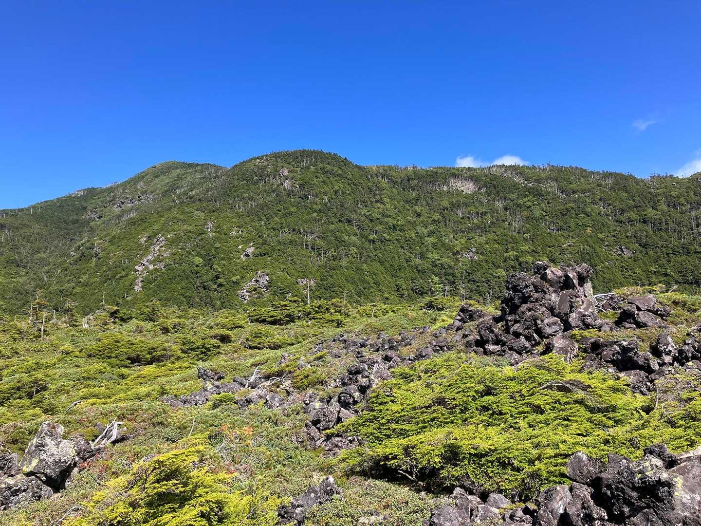 北横岳 | 標高2,240mまで歩かず行ける花と森と眺望の峰は、八ヶ岳入門に最適の写真
