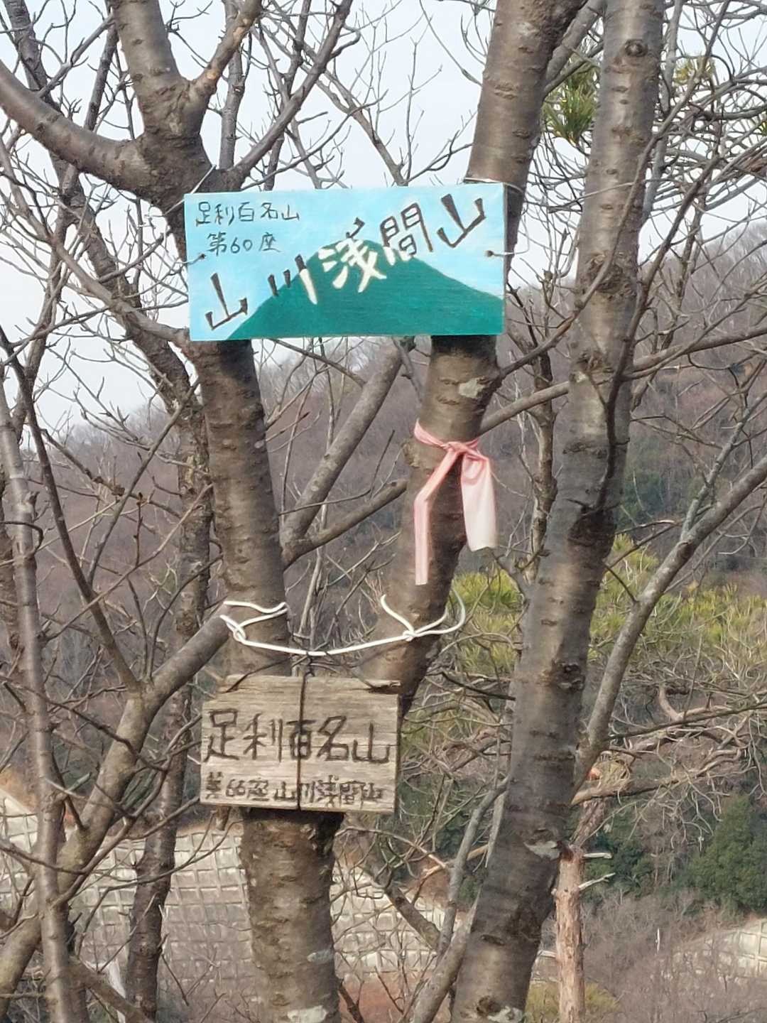 山川浅間山-あわぎ山 往復コースの写真