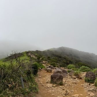 朝の天気はどこへやら､､､
真っ白になってしまった☁️