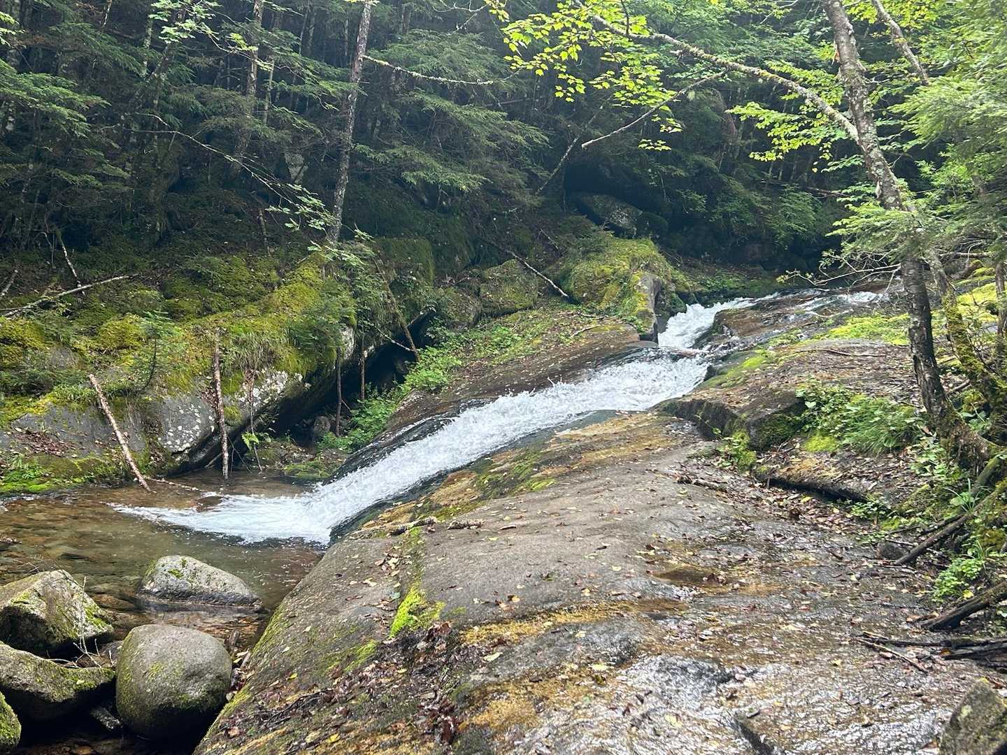 甲武信ヶ岳 周回コースの写真