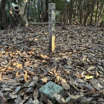 逢坂山頂上
三角点

ここへの登りで左脚が攣りかけた。
この先大丈夫か？と不安になったが、登りはほぼ終わりで良かった。