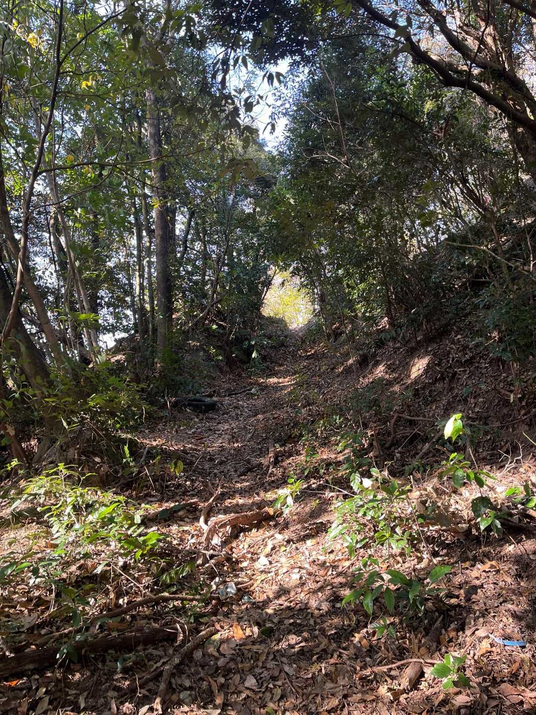 三角岳-天翔台-天翔台登山口 縦走コースの写真