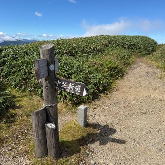 中芝新道は廃道だそうです