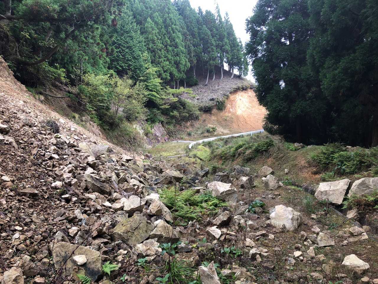 崖崩れで林道が埋まってました。歩くのには全然問題なかったです。