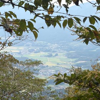 山頂からの景色🏞