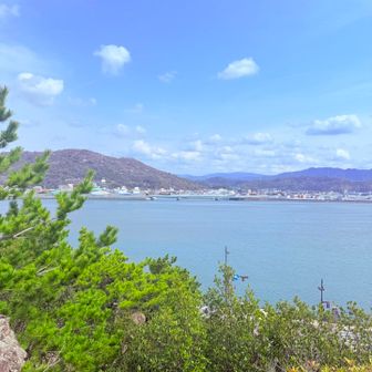 　ほんでグレー🩶ピークハント