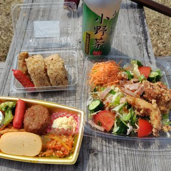 景色もそこそこに、立ち寄ったスーパーで買ってきた総菜でお昼ごはん。
本日最大の目的達成です。