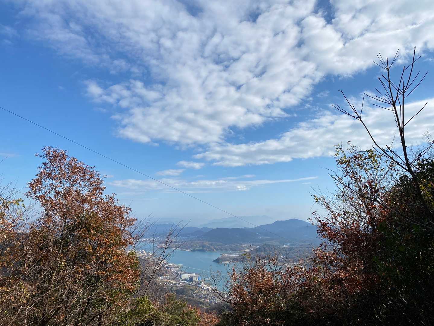 木の間からちらりと向島。
