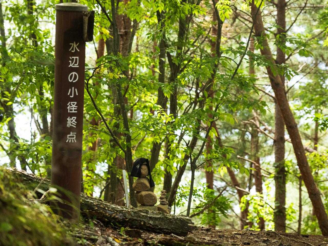 登りで歩いたコースと合流し下りていく。