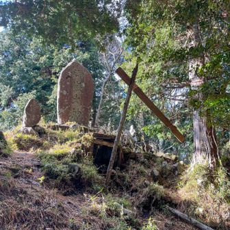 明星ヶ岳に着きました🙌金時山、明神ヶ岳は賑わってましたが明星ヶ岳はとても静かです😌ここはこむと最後に登山した思い出の地です。こむ頑張ってたな〜🐶
