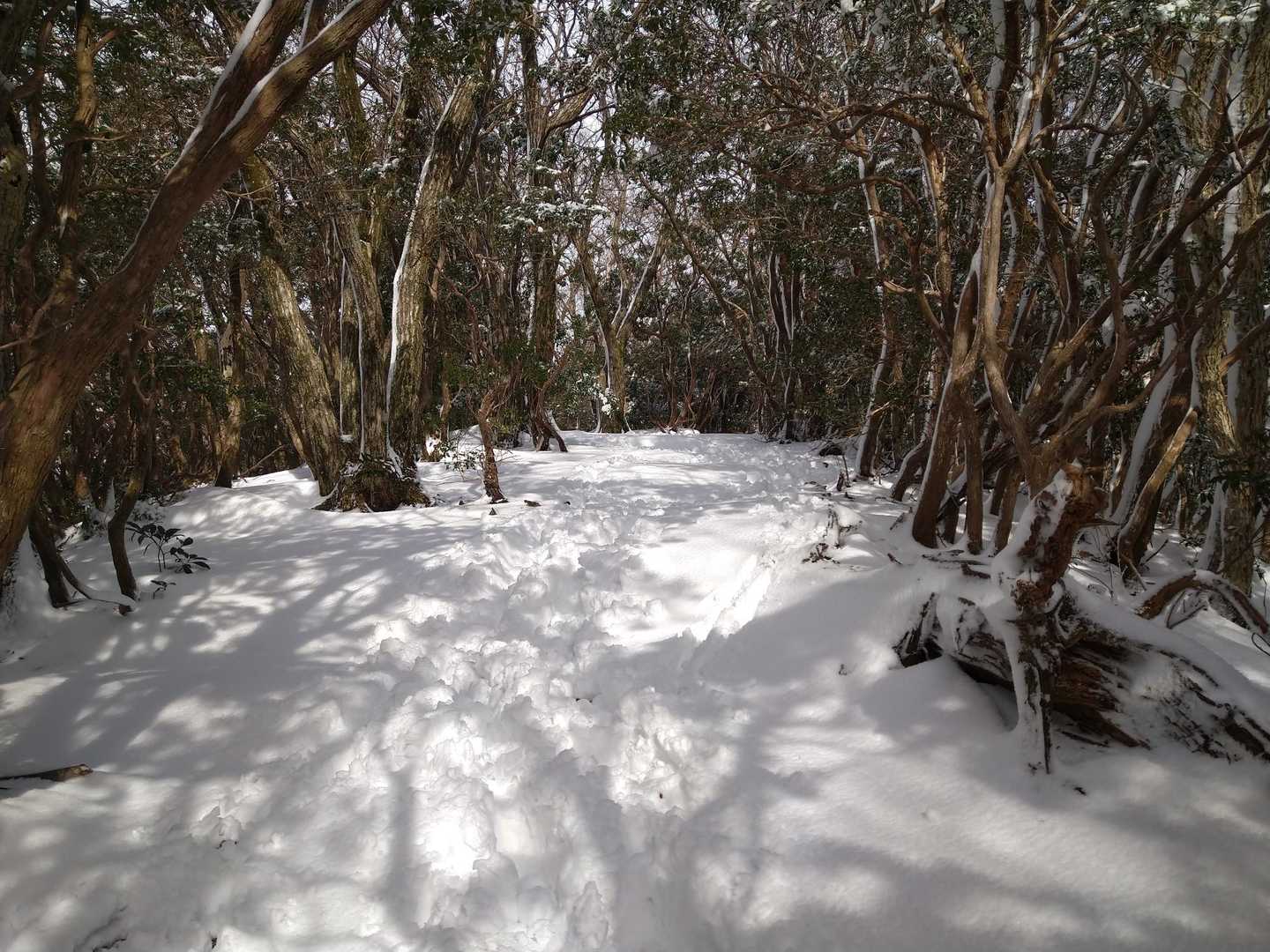 結構な雪です