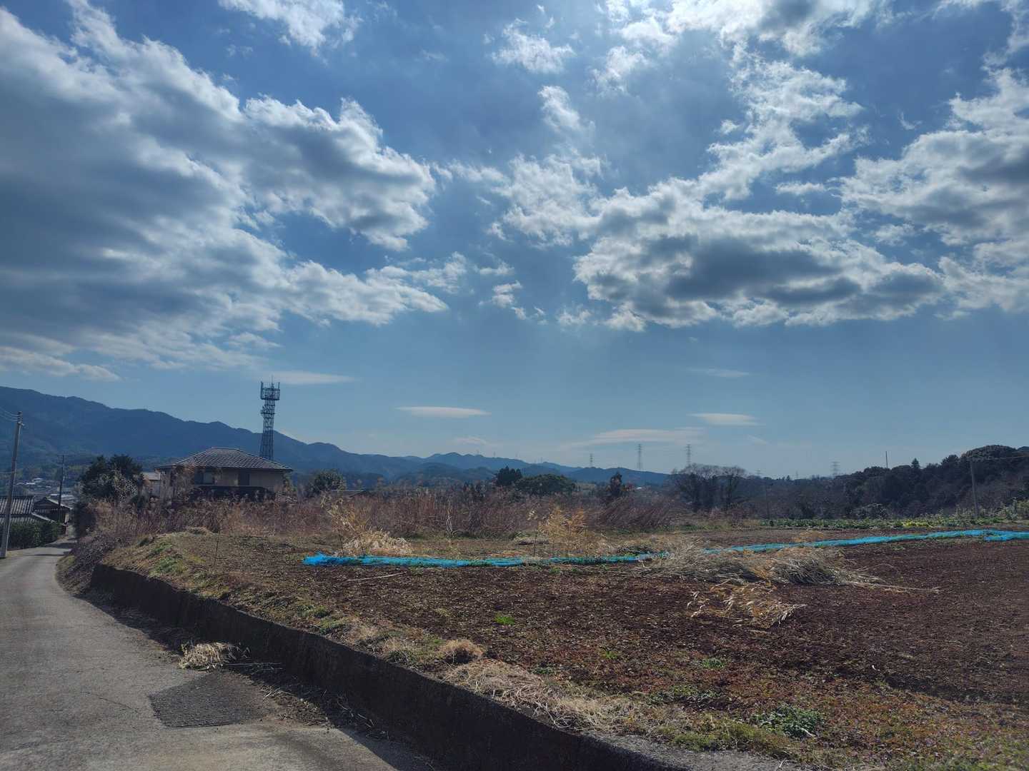 水ヶ城山-羽衣山-三ツ頭-ツルガ山 周回コースの写真