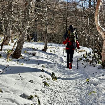 朝陽が気持ち良い。