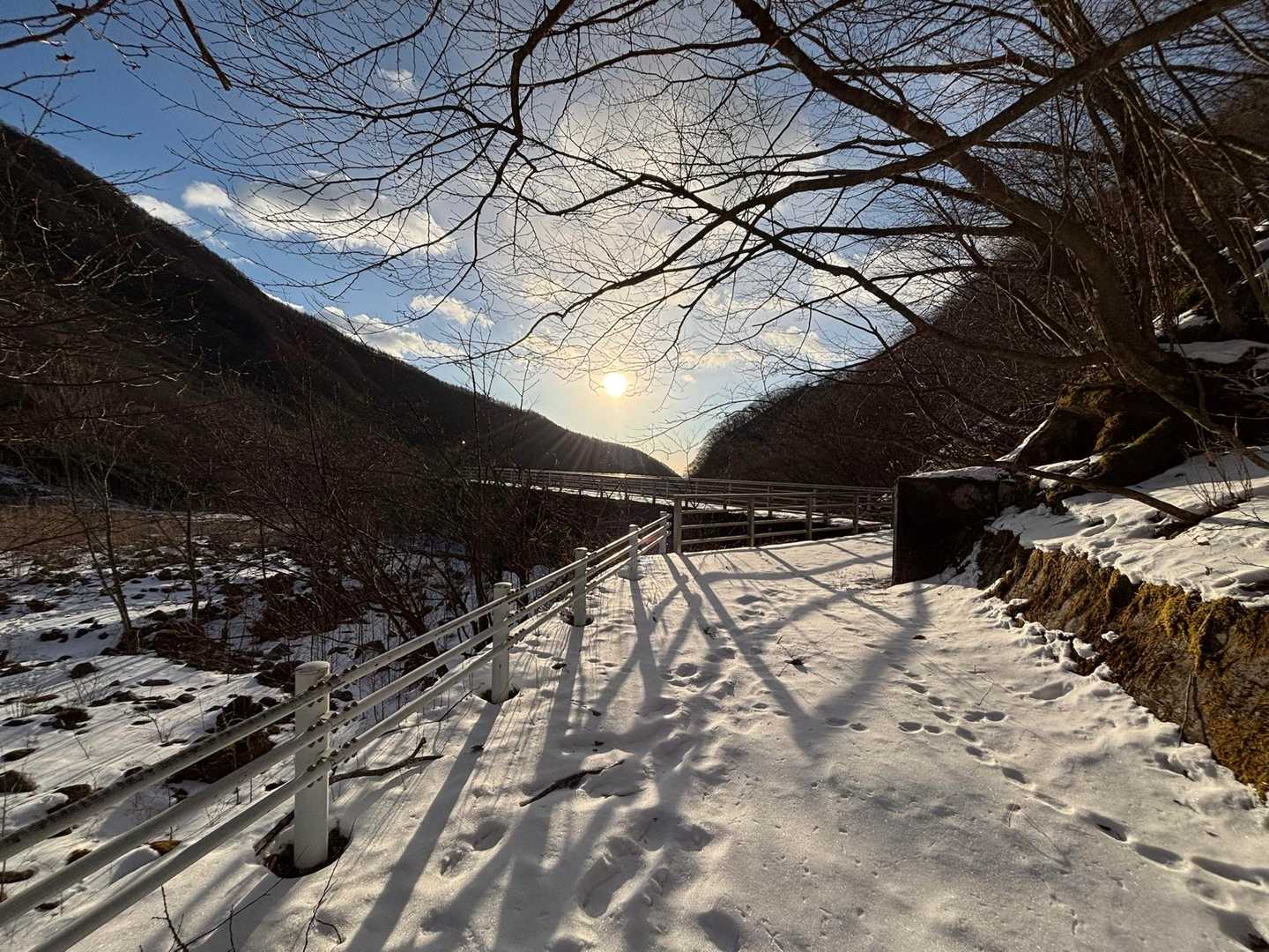 雲竜渓谷 往復コースの写真