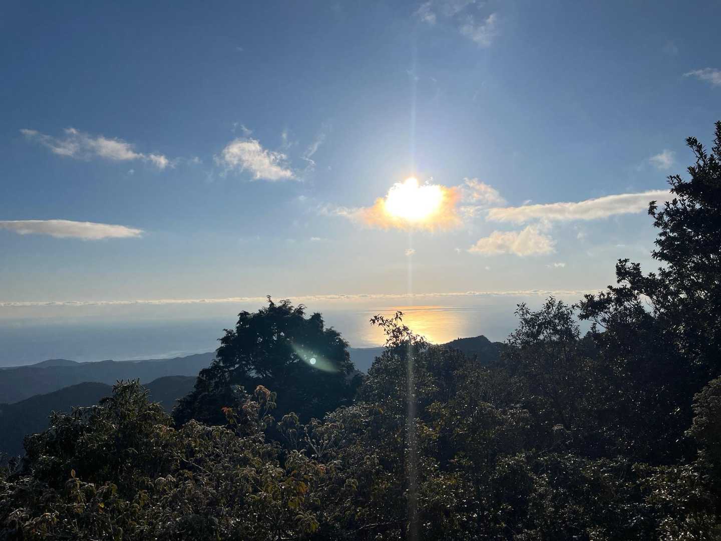 桐原側登山口-子ノ泊山 往復コースの写真
