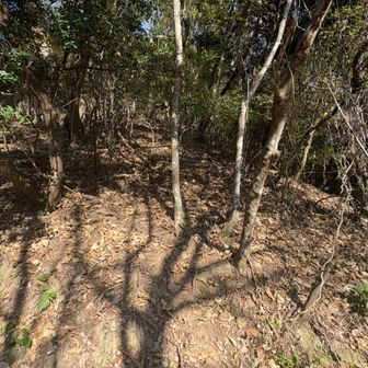 ここが取り付き？？
急登を四駆で🛞💦
落ち葉でズルズル🍂