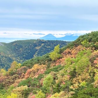 富士山ばっちり