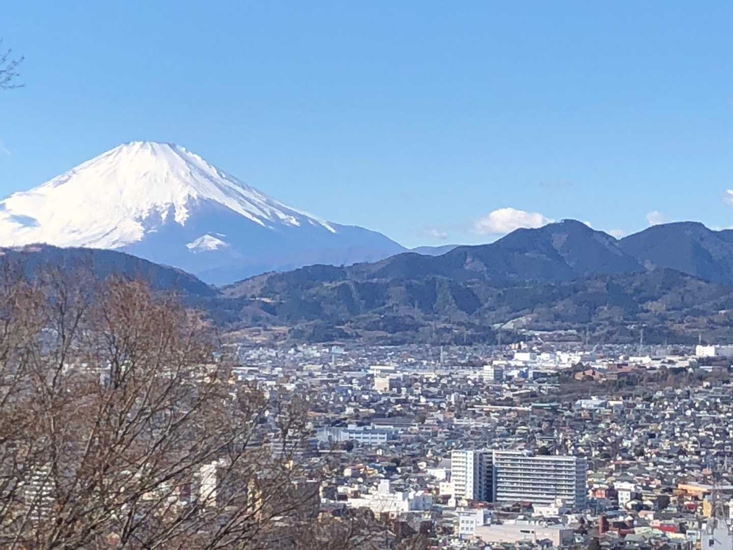 昨日のリベンジです！素晴らしい！