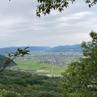 幸山からの眺望