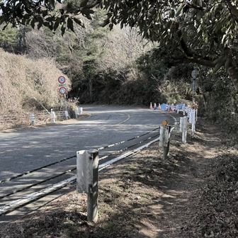 少し進むとパープルライン脇に出た。けど車道は歩かず、この先も山道へ（安心）