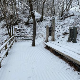 ４時間前はこんなに白くなかったよな🤔