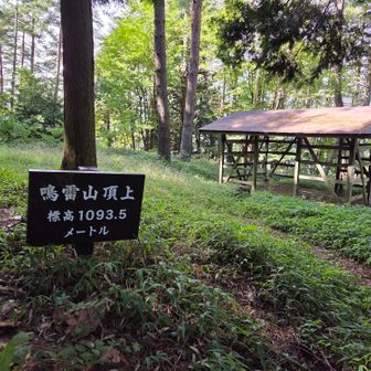 鳴雷山（なるかみ山）1,093m
広くて明るい雰囲気ですね