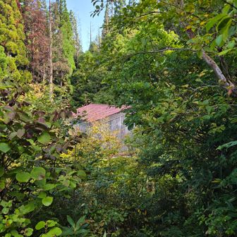 取立避難小屋
