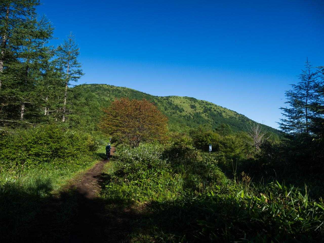 まあるい山、湯ノ丸山。