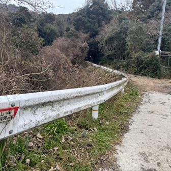 紀泉アルプス・飯盛山・ボンデン山 この印なかったら、ここから入っていくとは思わんやろなぁ。。