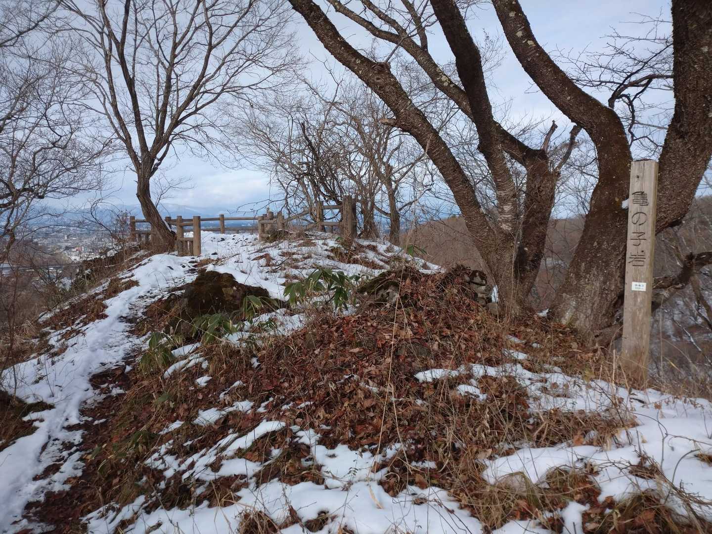 珊瑚岳 周回コースの写真