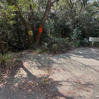 ここから旧道へ
下山では初めて使います
